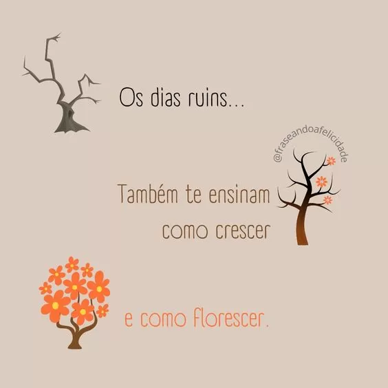 (Foto: Divulgação)