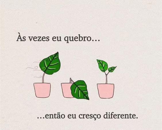 (Foto: Divulgação)