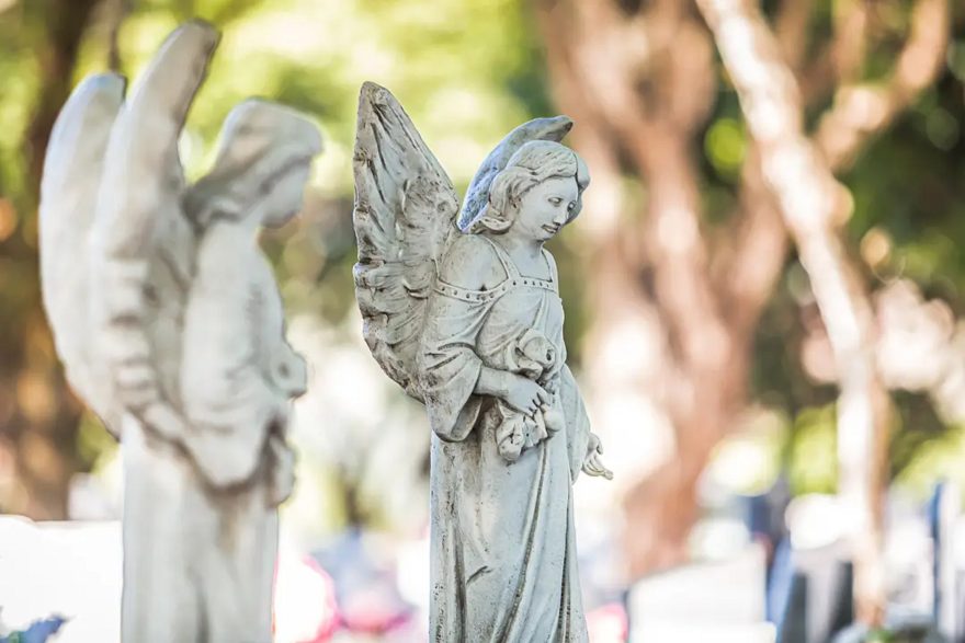 (Foto: Divulgação)