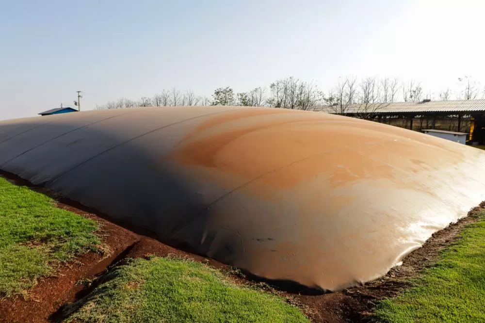 Biogás diminui custos de produção e gera renda para suinocultores de Pato Bragado Foto: Roberto Dziura Jr/AEN