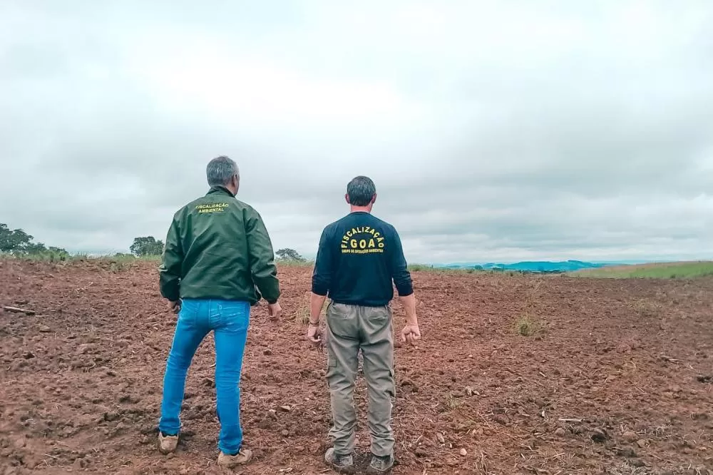 Edição 2024 da Operação Mata Atlântica em Pé identificou 1.433,33 hectares de área ilegalmente desmatada no Paraná Foto: IAT-PR