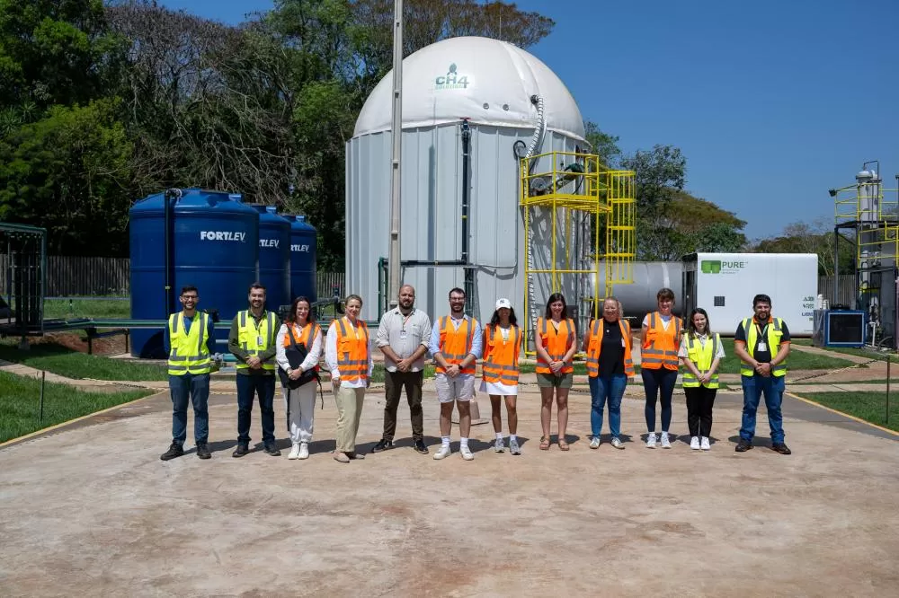 Fotos: William Brisida