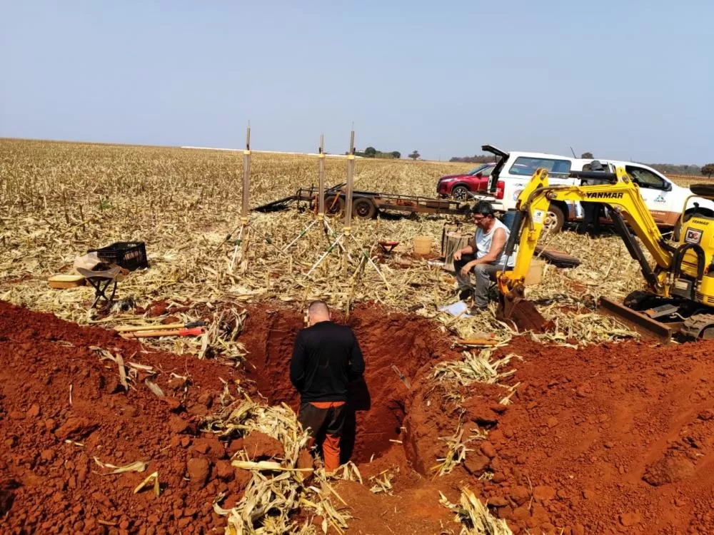 Fotos: Divulgação/Embrapa