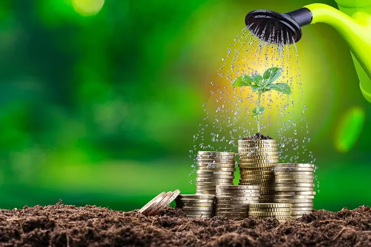 Como diz o presidente Lula, transição energética é chance de o país se transformar em “celeiro renovável” Foto: G20 Brasil