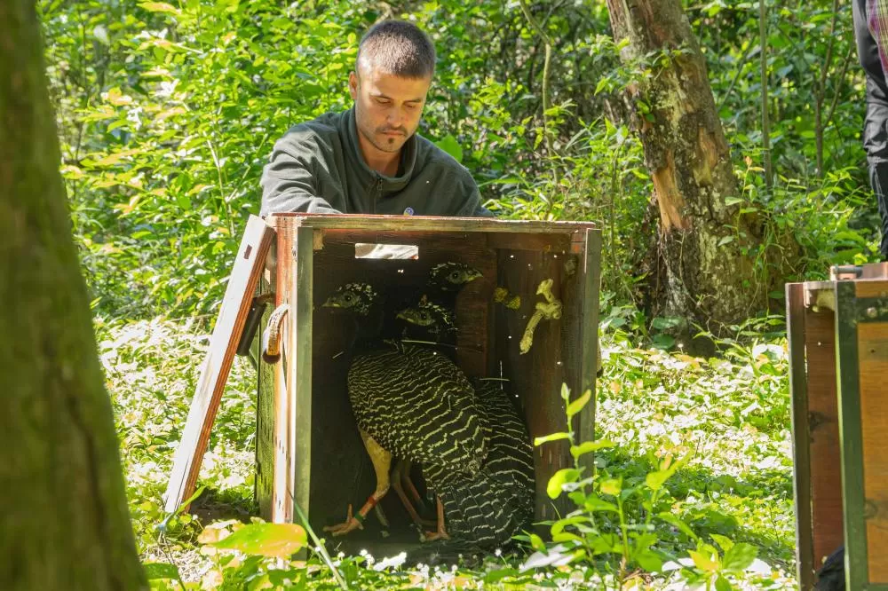 Fotos: Tomás Navajas / Rewilding Argentina