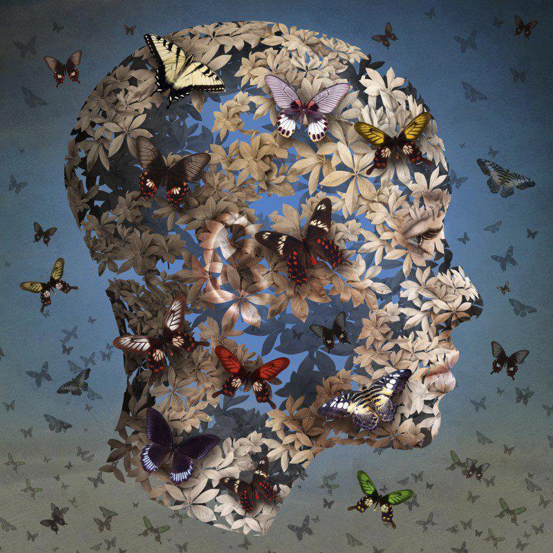 (Foto: Divulgação)