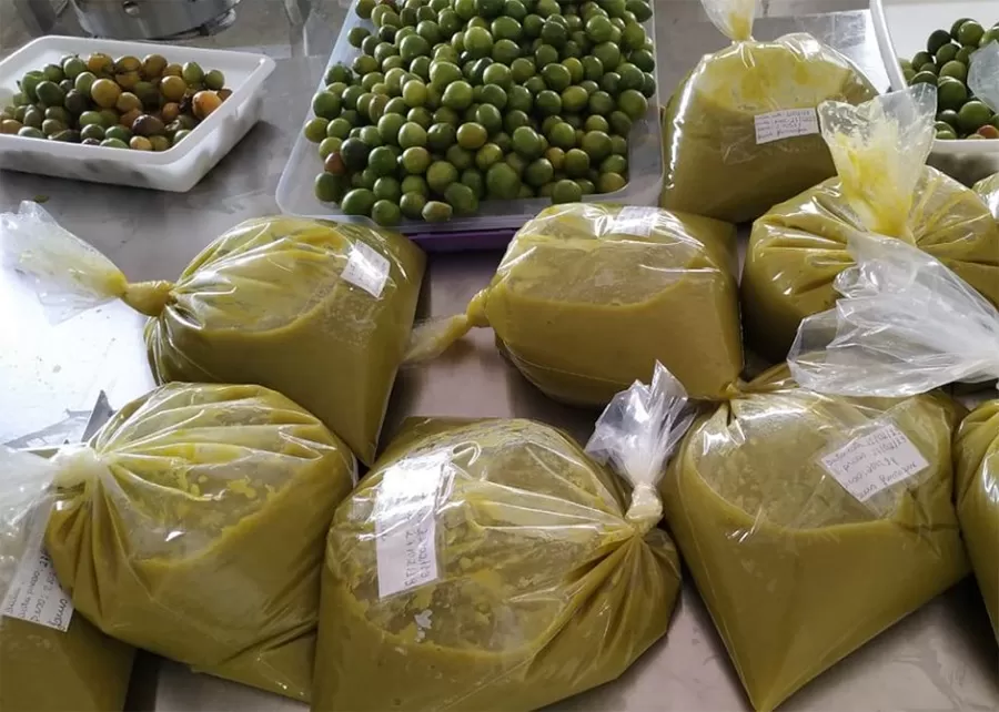 Photo: Luís Henrique Pereira de Sá Torres