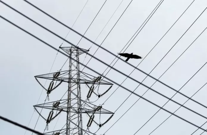 Linhas de transmissão de energia elétrica • . REUTERS/Yuya Shino/File Photo