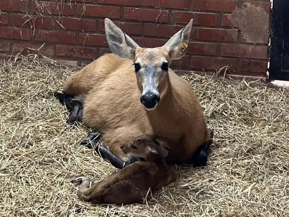 Crédito: Alexandre Marchetti / Itaipu Binacional