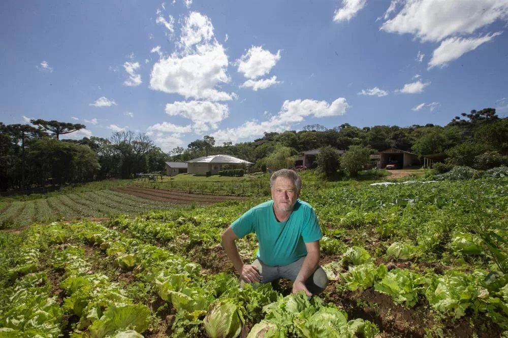 SÃO JOSÉ DOS PINHAIS (BRASIL), 25/10/2024; O produtor de orgânicos Luiz Claudio Ravaglio da Rocha que é certificado pelo TECPAR, Paraná, Brasil. Foto: Hedeson Alves/TECPAR Foto: Hedeson Alves/TECPAR