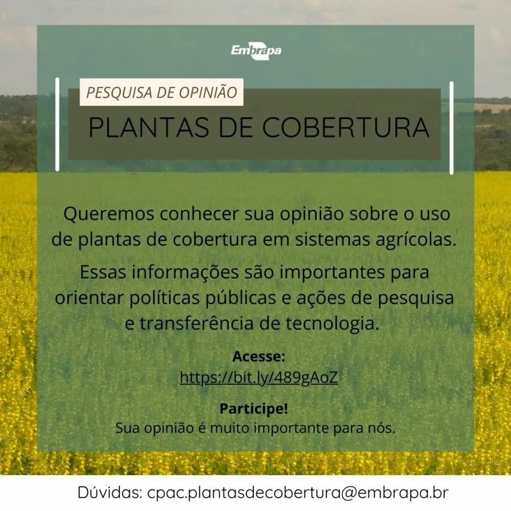 (Foto: Divulgação)