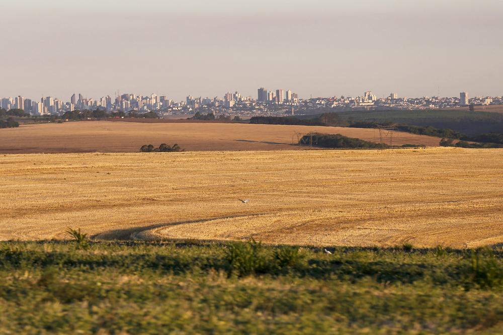 Receita destina R$ 217 milhões em créditos do ICMS a cooperativas e empresas do Oeste Foto: Jonathan Campos/AEN