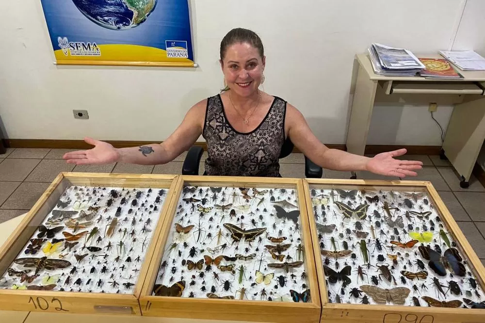 Flávia Ostapiv Noguchi é a chefe responsável pelo núcleo de educação ambiental da regional do IAT em Pato Branco. Foto: IAT