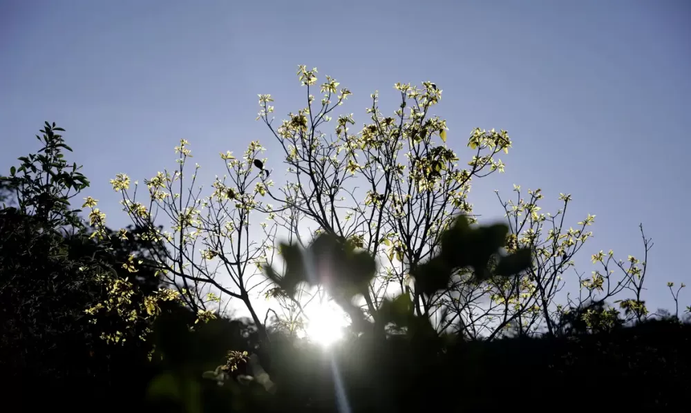  Joédson Alves/Agência Brasil