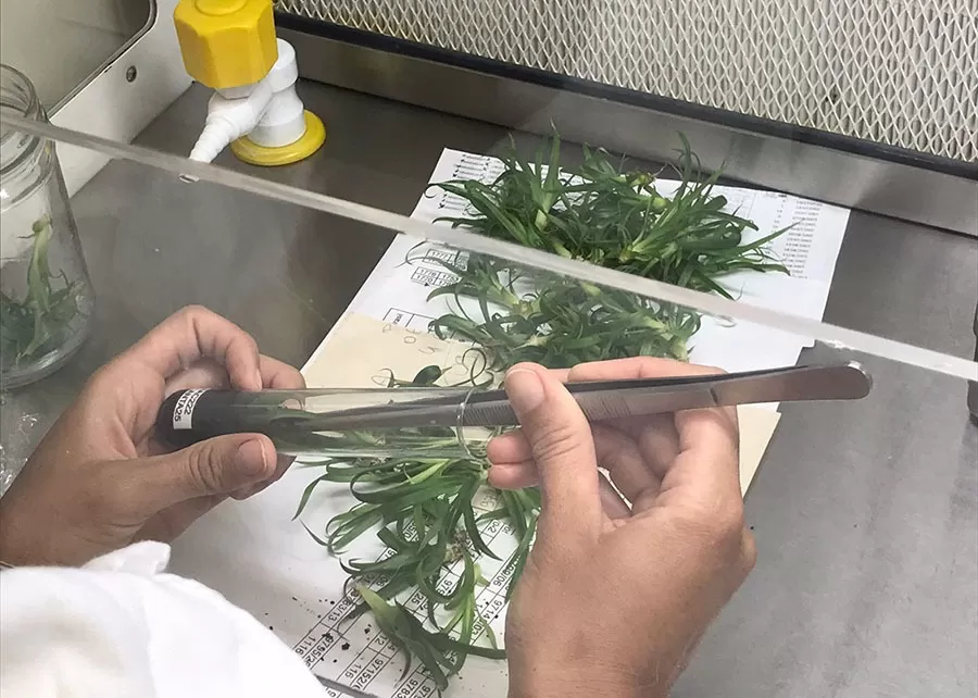 Foto: Polyana Santos da Silva