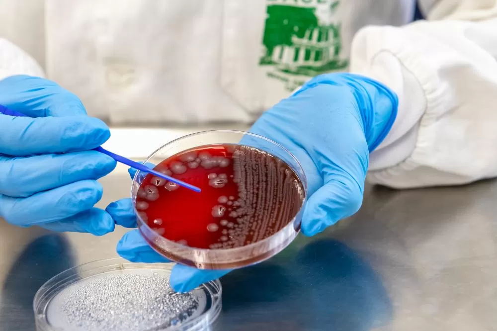 Doenças gastrointestinais: com 389 mil casos neste ano, Saúde alerta para prevenção Foto: Roberto Dziura Jr/AEN