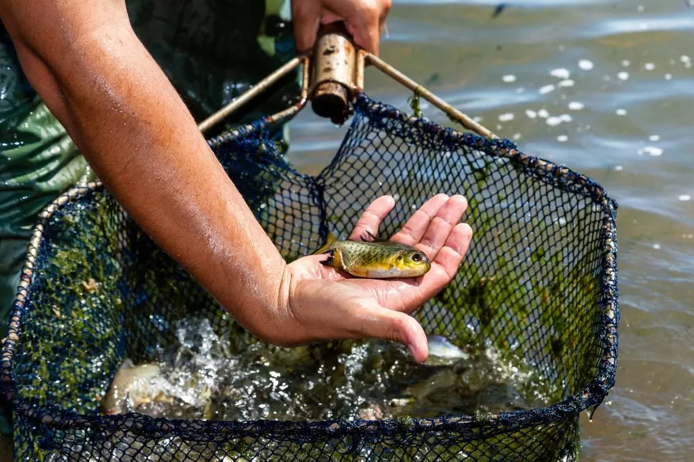 Crédito da Foto: Rubens Fraulini/Itaipu Binacional