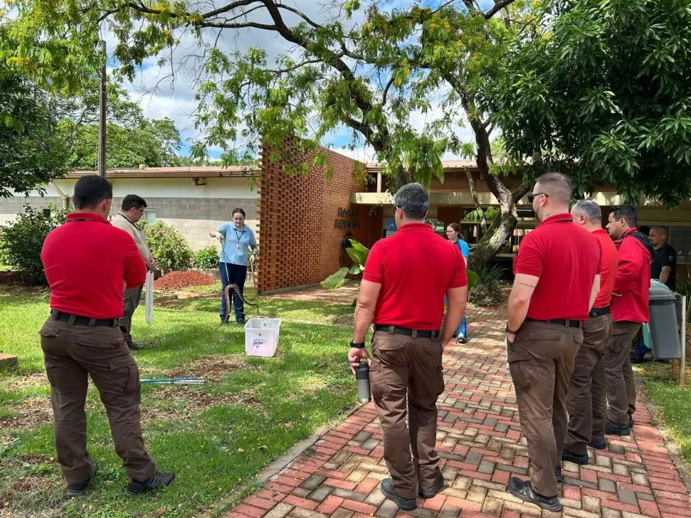 A veterinária Aline Konell faz demonstração de manejo aos bombeiros.