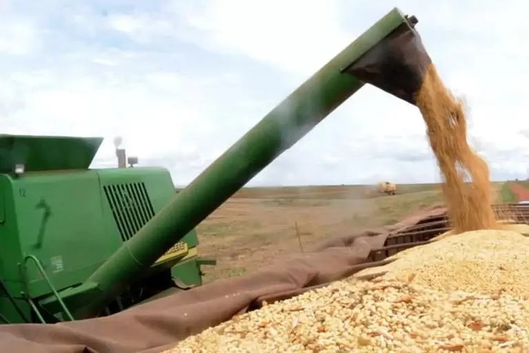 De acordo com a estimativa da Conab, o maior crescimento é esperado para a área semeada de arroz, que deve passar de 1,6 milhão de hectares em 2023/24 para 1,77 milhão de hectares no atual ciclo - Foto: Agência Brasil