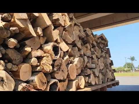 PRF flagra motorista de caminhão usando corda no lugar do cinto de segurança no Paraná